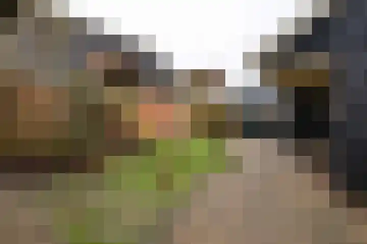 De Mieden 58 Warten thumbnail 44