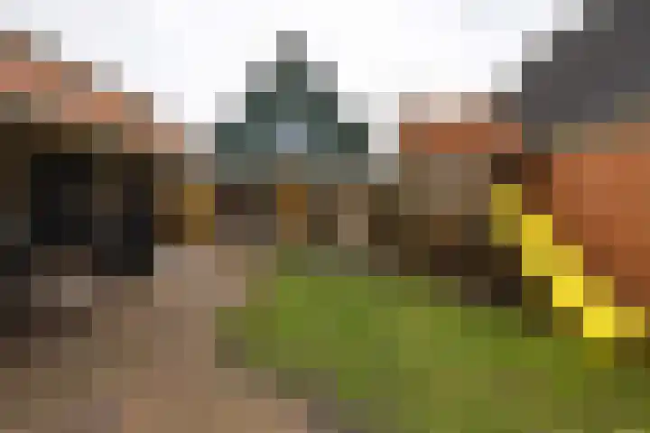 De Mieden 58 Warten thumbnail 46