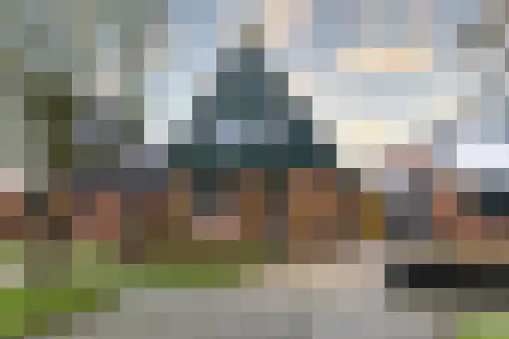 De Mieden 58 Warten thumbnail 6