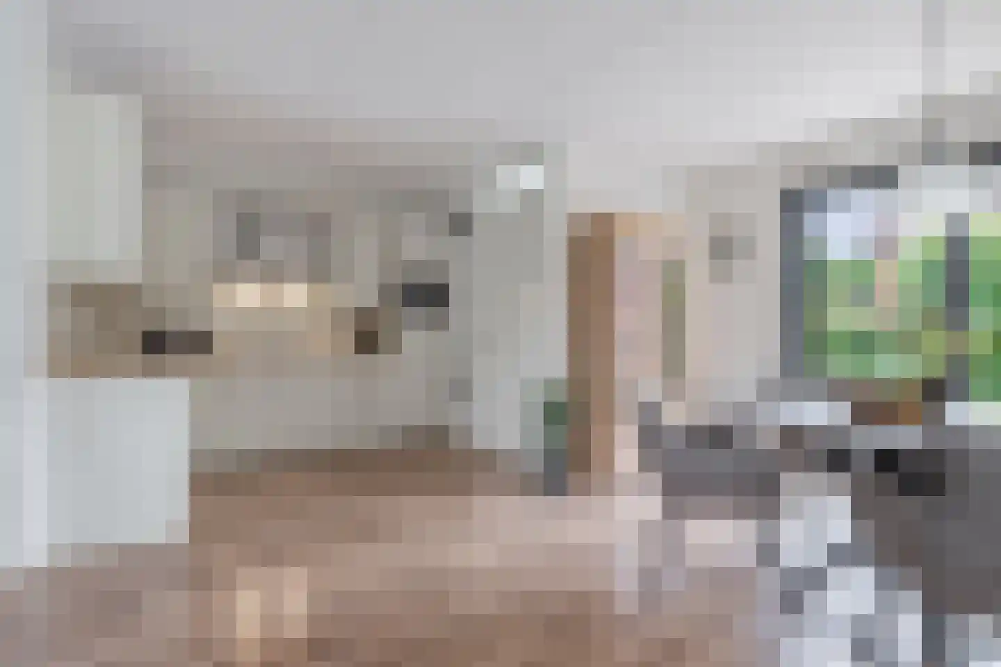 De Mielgong 13 Mantgum thumbnail 13