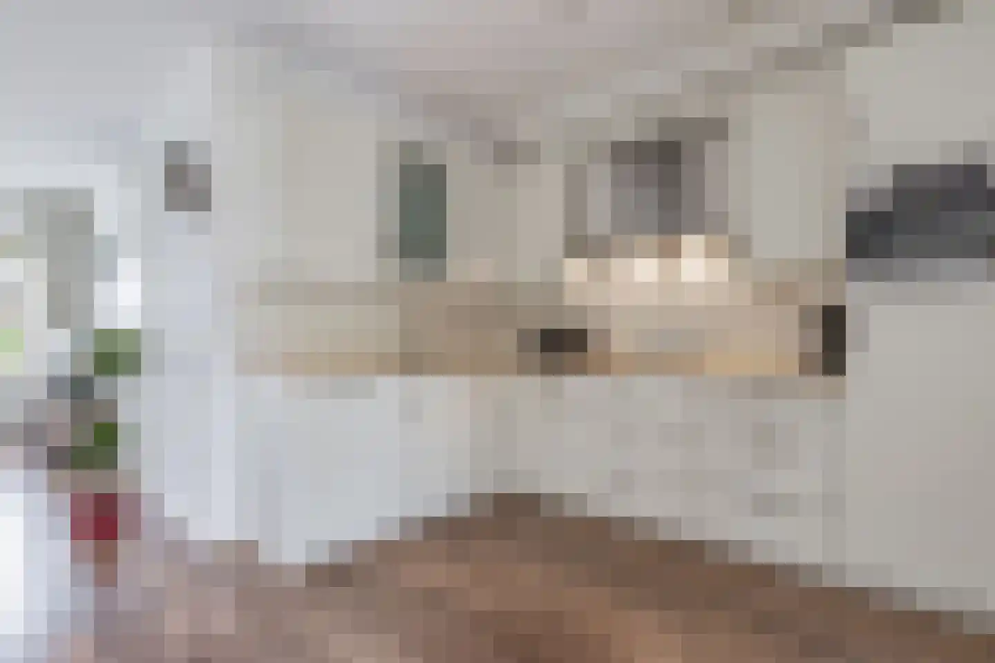 De Mielgong 13 Mantgum thumbnail 15