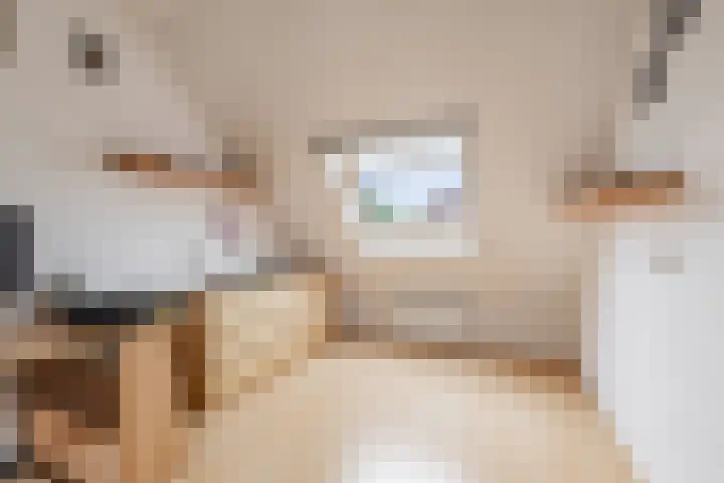 De Mielgong 13 Mantgum thumbnail 23
