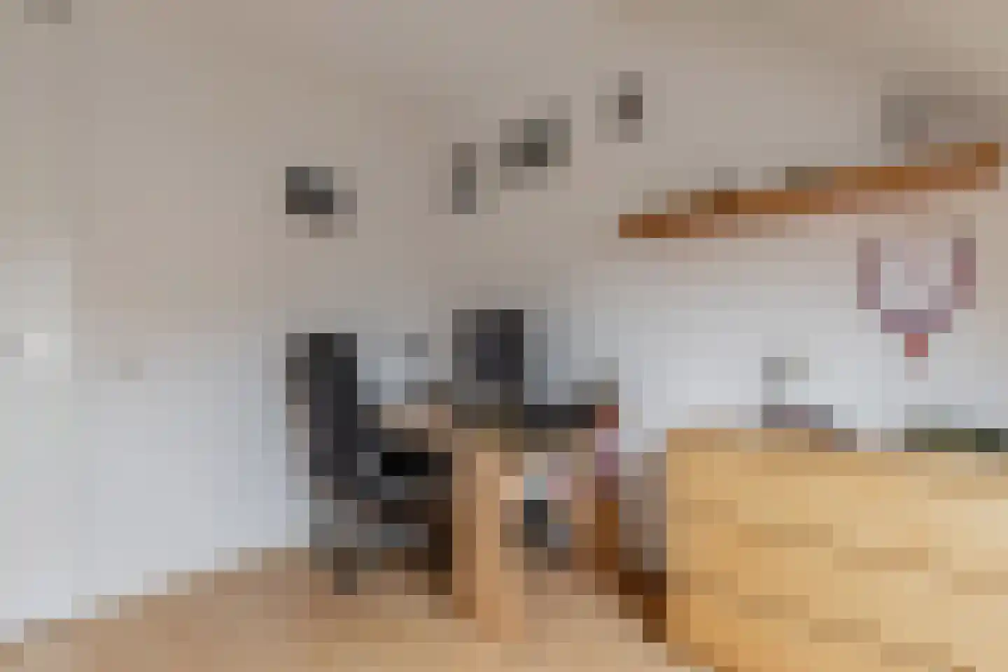 De Mielgong 13 Mantgum thumbnail 24
