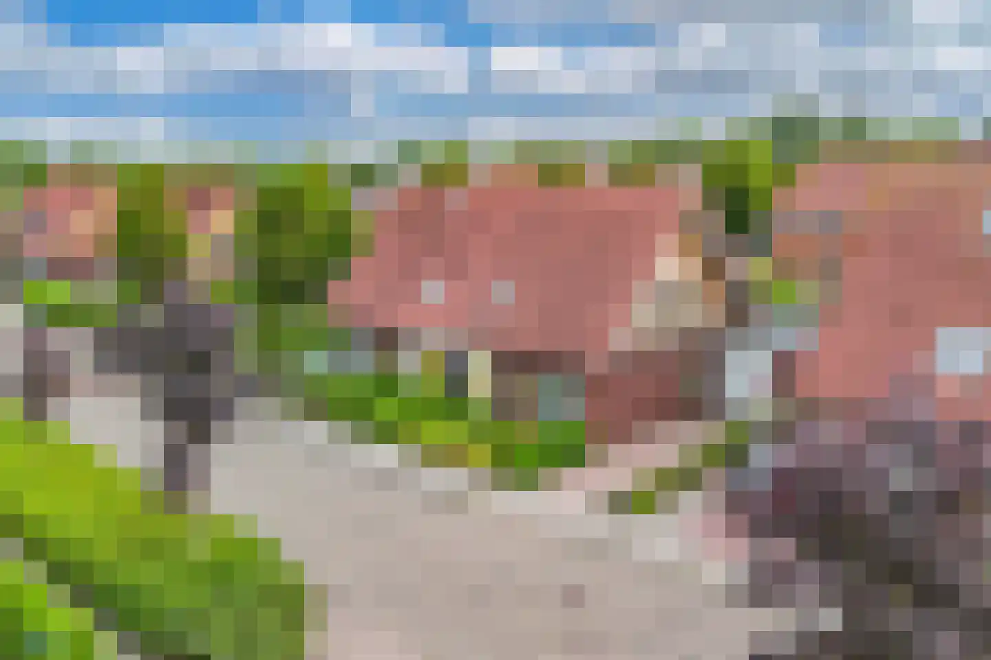 De Mielgong 13 Mantgum thumbnail 30