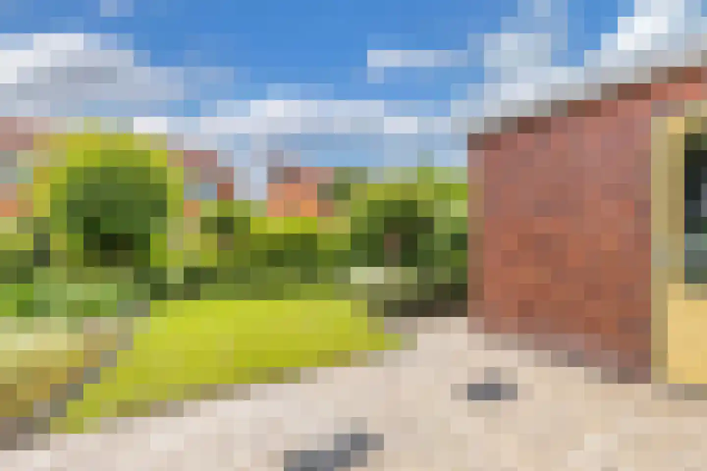 De Mielgong 13 Mantgum thumbnail 34