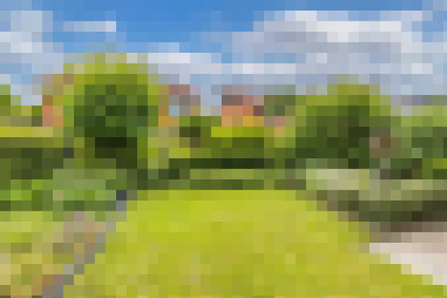 De Mielgong 13 Mantgum thumbnail 35