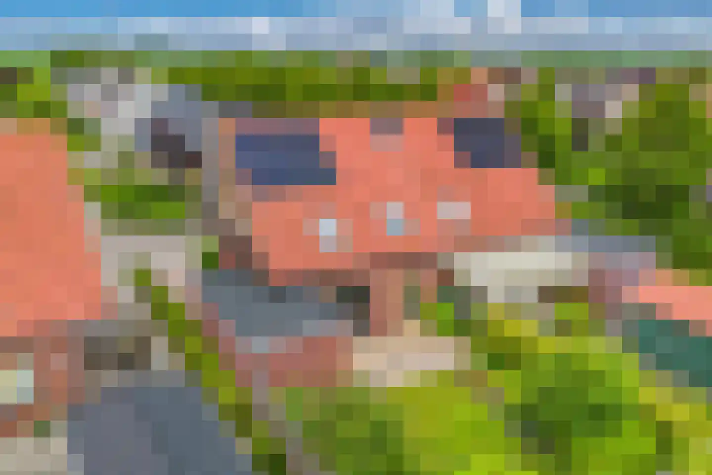 De Mielgong 13 Mantgum thumbnail 39