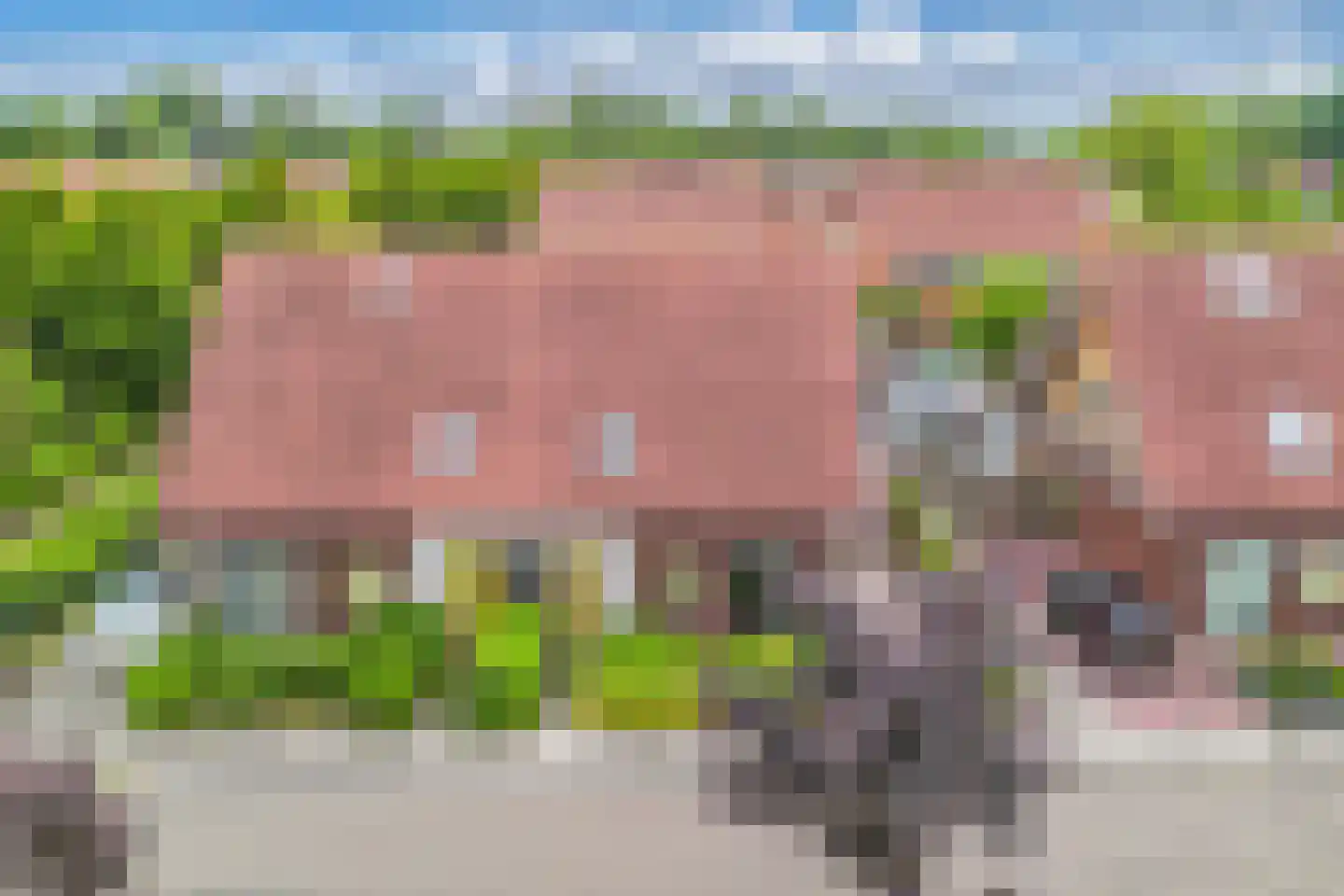 De Mielgong 13 Mantgum thumbnail 41