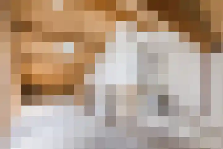De Miggelt 43 Aalten thumbnail 20