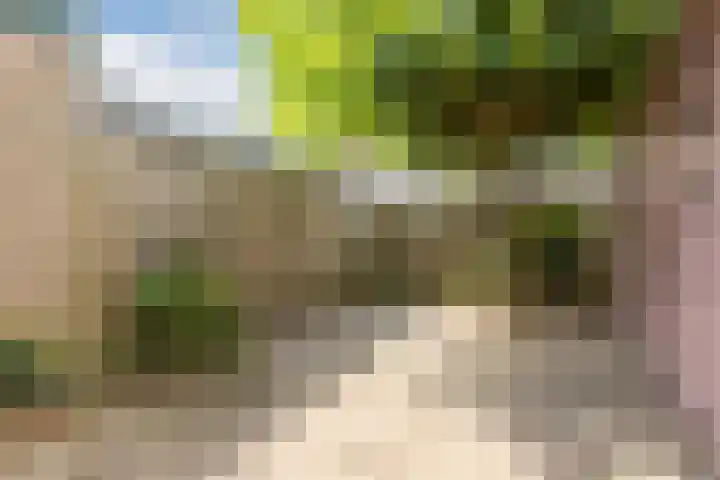 De Miggelt 43 Aalten thumbnail 22