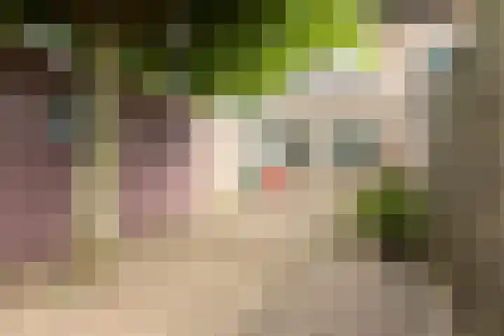 De Miggelt 43 Aalten thumbnail 23