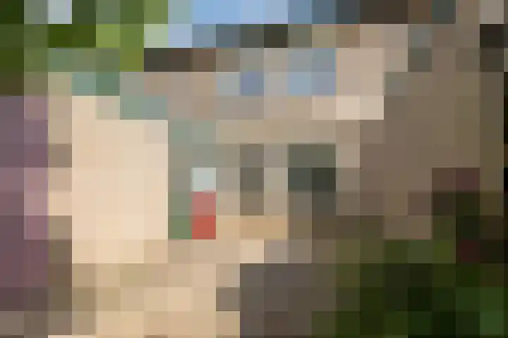 De Miggelt 43 Aalten thumbnail 24