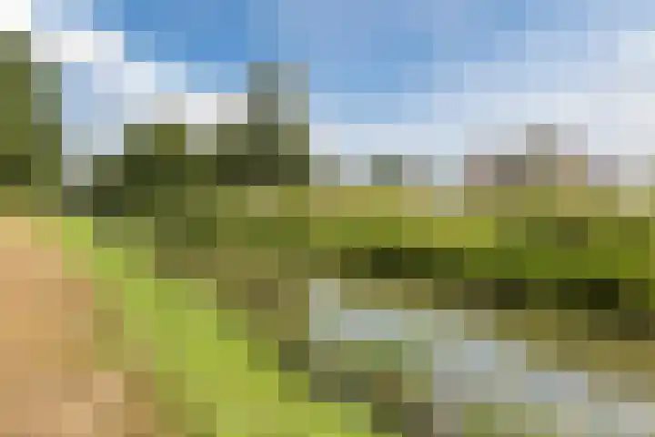 De Miggelt 43 Aalten thumbnail 31