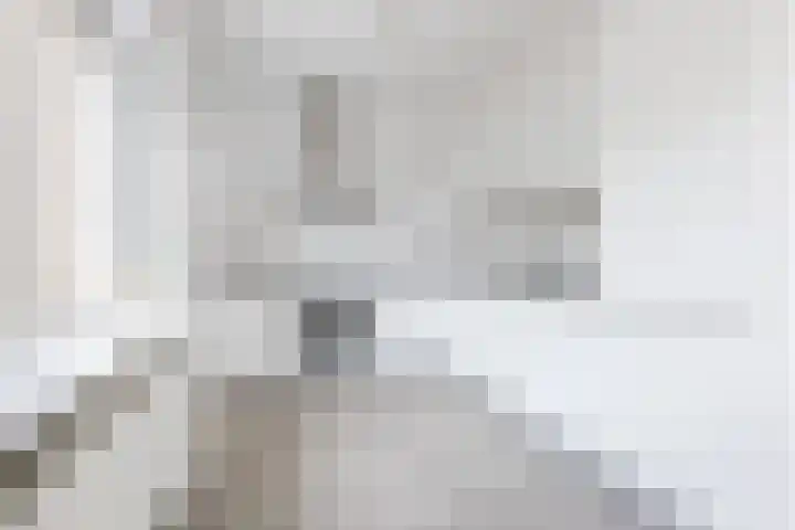 De Miggelt 43 Aalten thumbnail 6