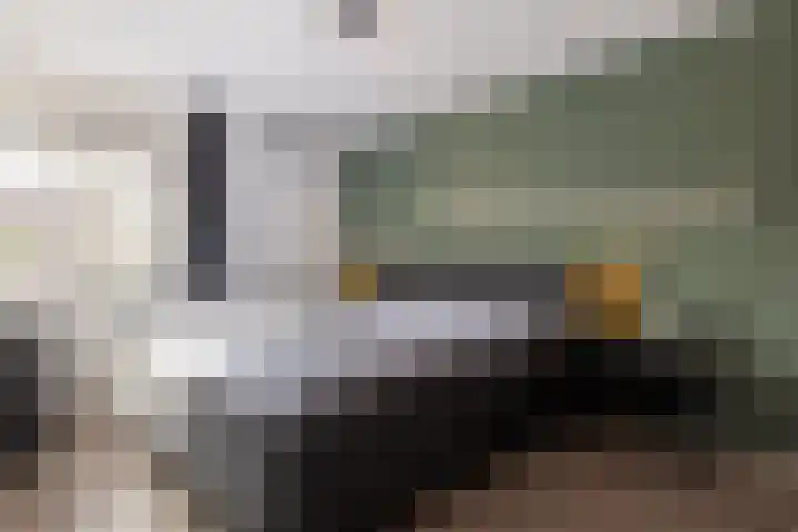 De Miggelt 46 Aalten thumbnail 13