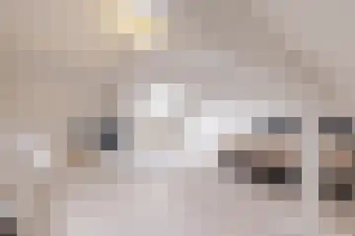 De Miggelt 46 Aalten thumbnail 17