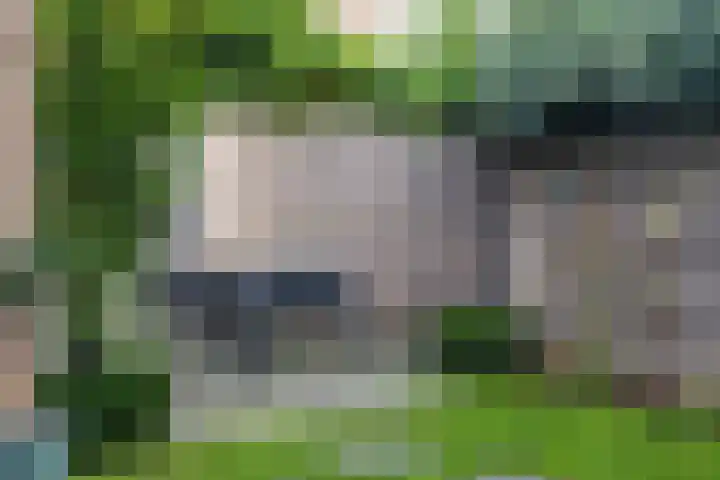 De Miggelt 46 Aalten thumbnail 4
