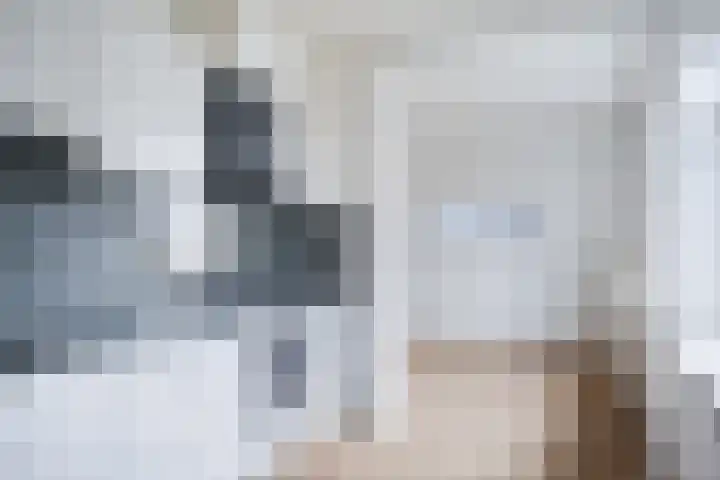De Miggelt 52 Aalten thumbnail 10