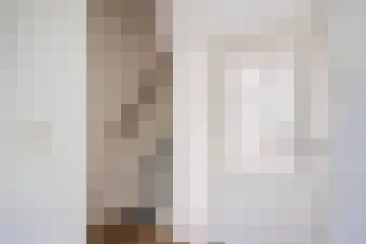 De Miggelt 52 Aalten thumbnail 15