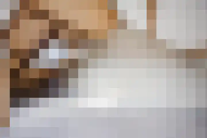 De Miggelt 52 Aalten thumbnail 27