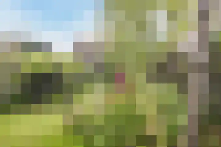 De Miggelt 52 Aalten thumbnail 34