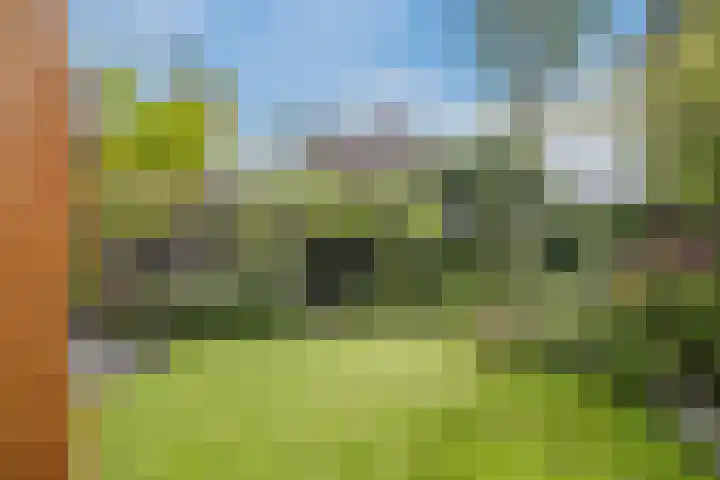 De Miggelt 52 Aalten thumbnail 35