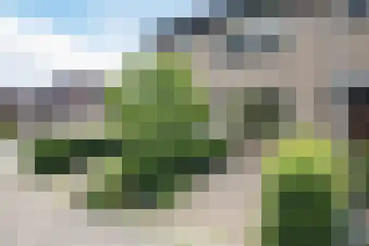 De Miggelt 52 Aalten thumbnail 36