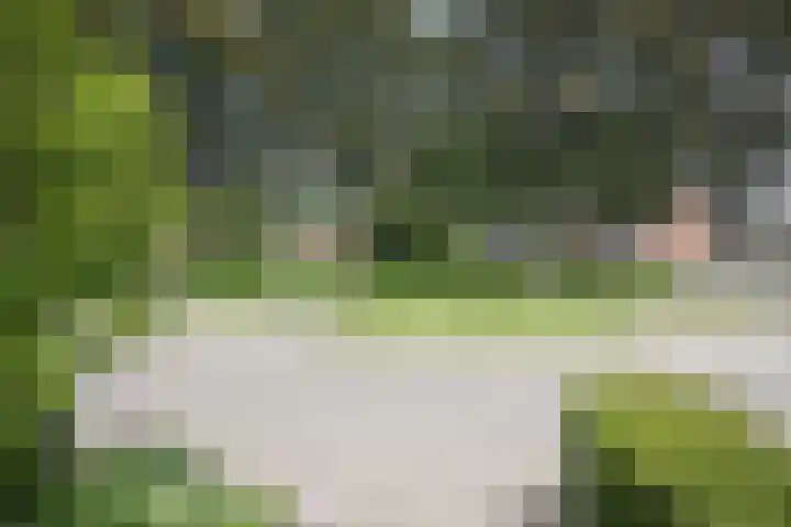 De Miggelt 52 Aalten thumbnail 39