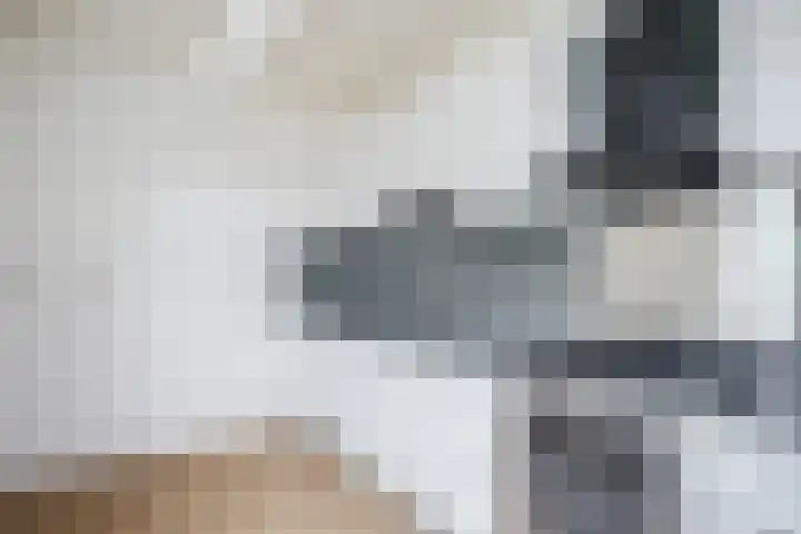De Miggelt 52 Aalten thumbnail 9