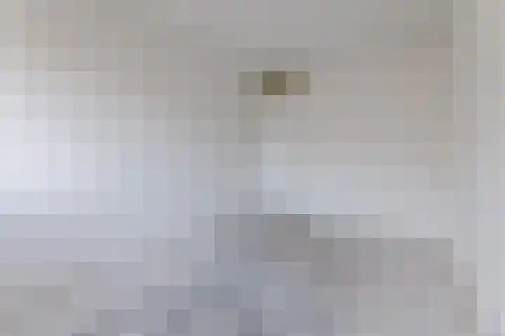 De Miggelt 57 Aalten thumbnail 17