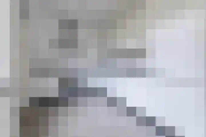 De Miggelt 57 Aalten thumbnail 5