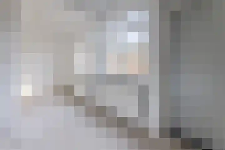 De Miggelt 57 Aalten thumbnail 8