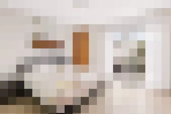 De Milan Viscontilaan 130 De Meern thumbnail 19