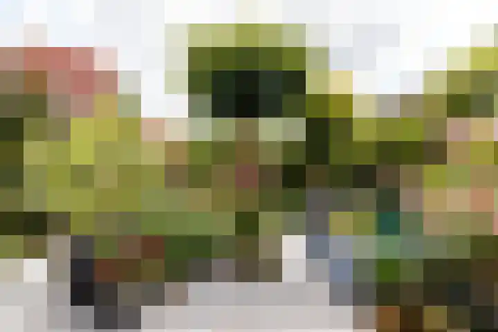 De Milan Viscontilaan 90 De Meern thumbnail 10