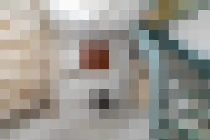 De Mildestraat 34 Den Haag thumbnail 41