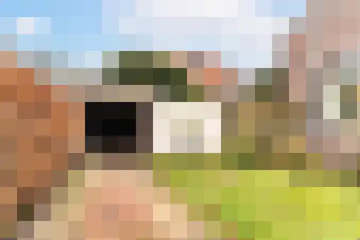 De Mildestraat 34 Den Haag thumbnail 5