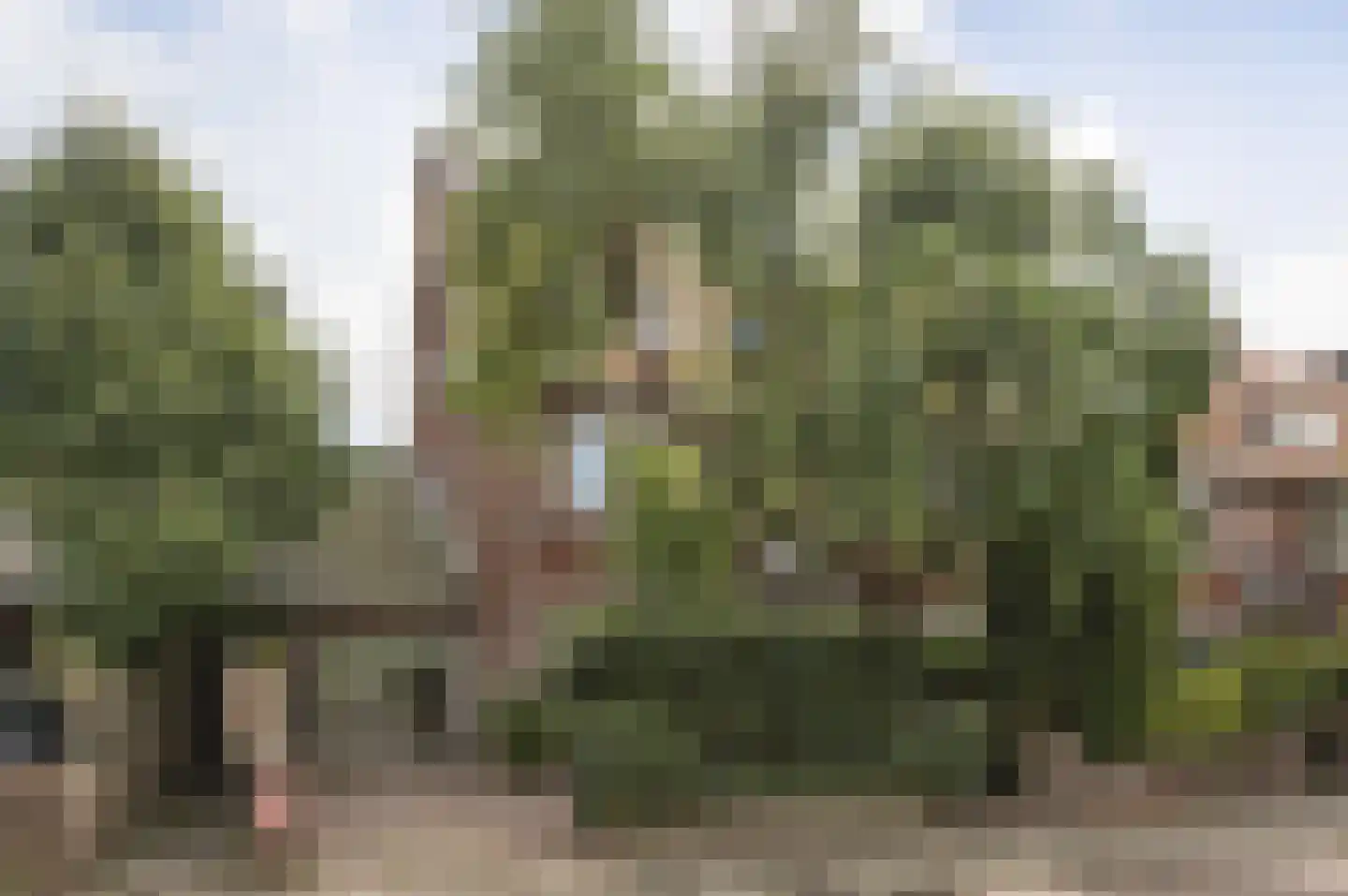 De Mildestraat 61 Den Haag thumbnail 4