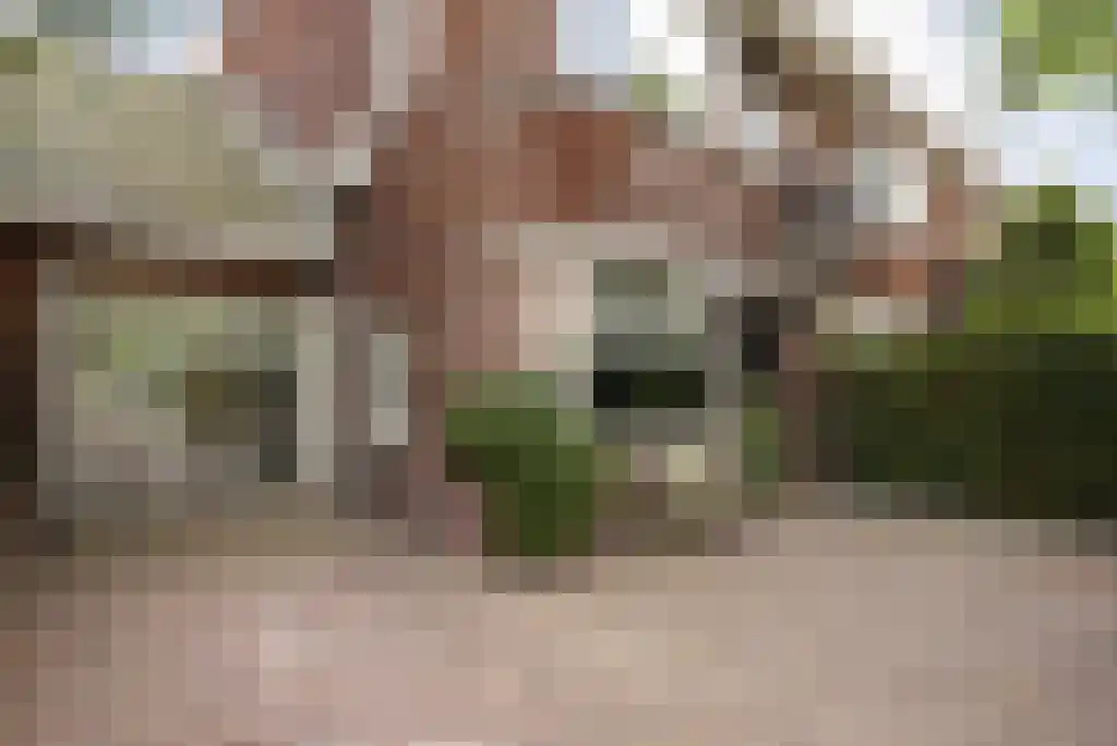 De Mildestraat 61 Den Haag thumbnail 55
