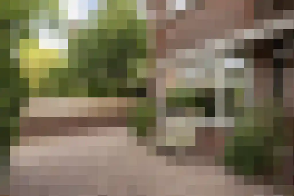 De Mildestraat 61 Den Haag thumbnail 57
