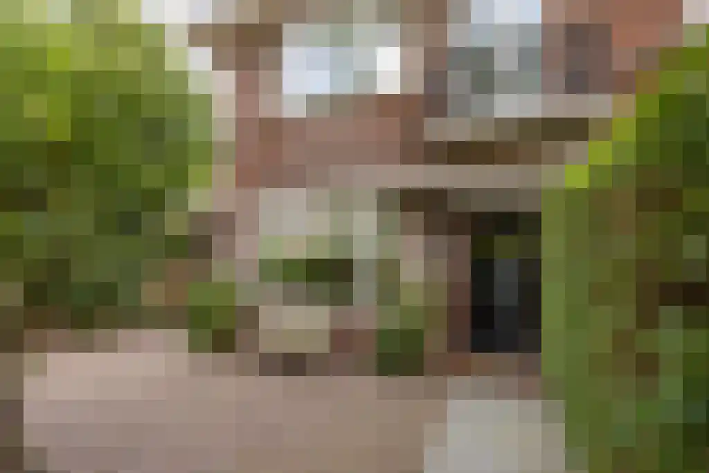 De Mildestraat 61 Den Haag thumbnail 6