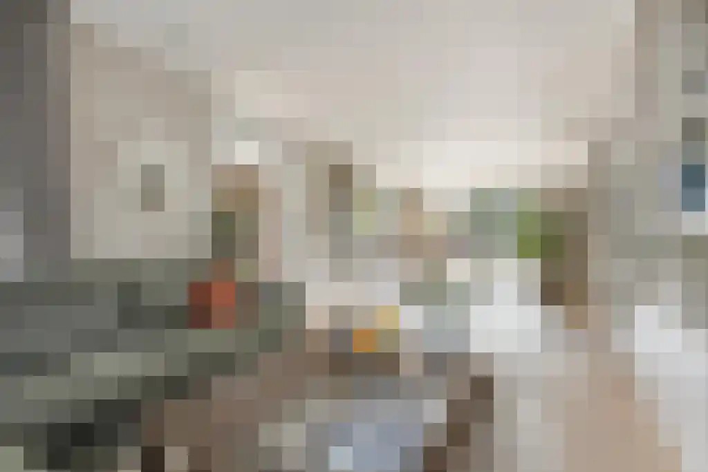 De Mildestraat 61 Den Haag thumbnail 9