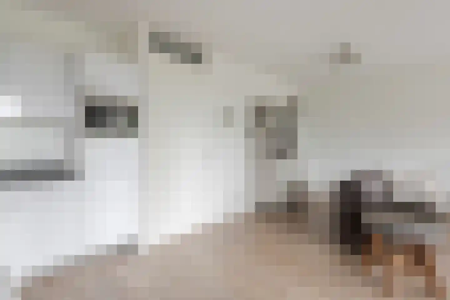 De Minnehof 34 Eemnes thumbnail 20