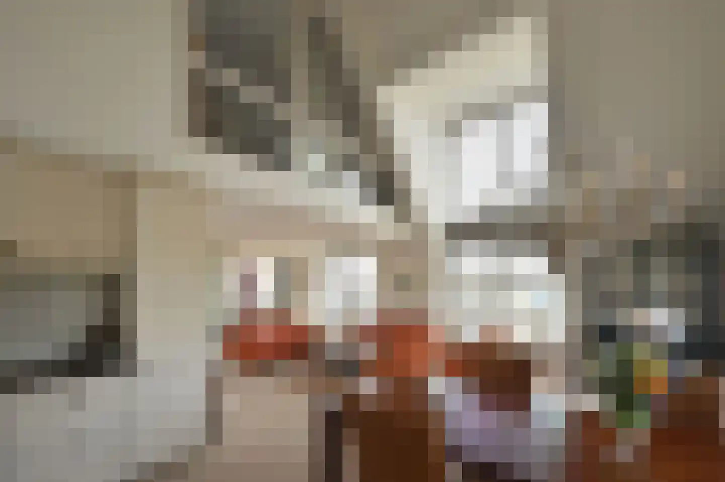 De Minnehof 62 Eemnes thumbnail 8