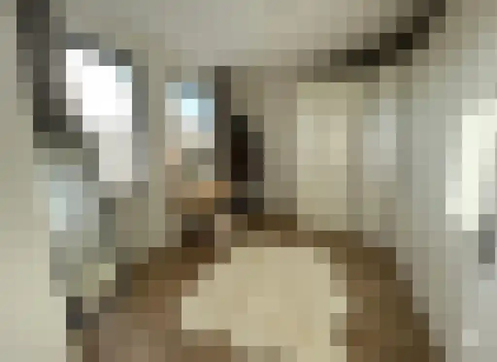 De Minnehof 90 Eemnes thumbnail 11