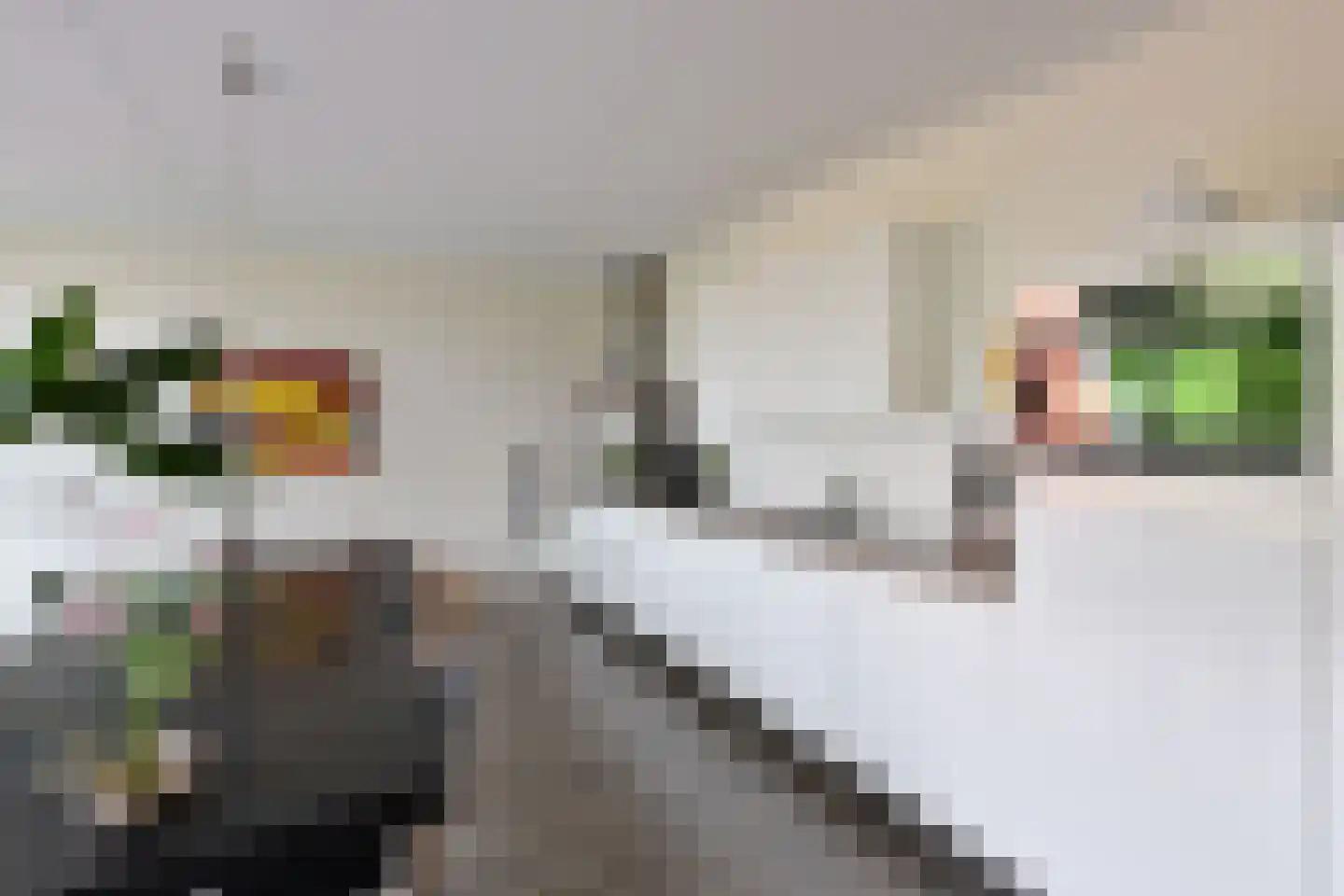 De Minnehof 96 Eemnes thumbnail 9