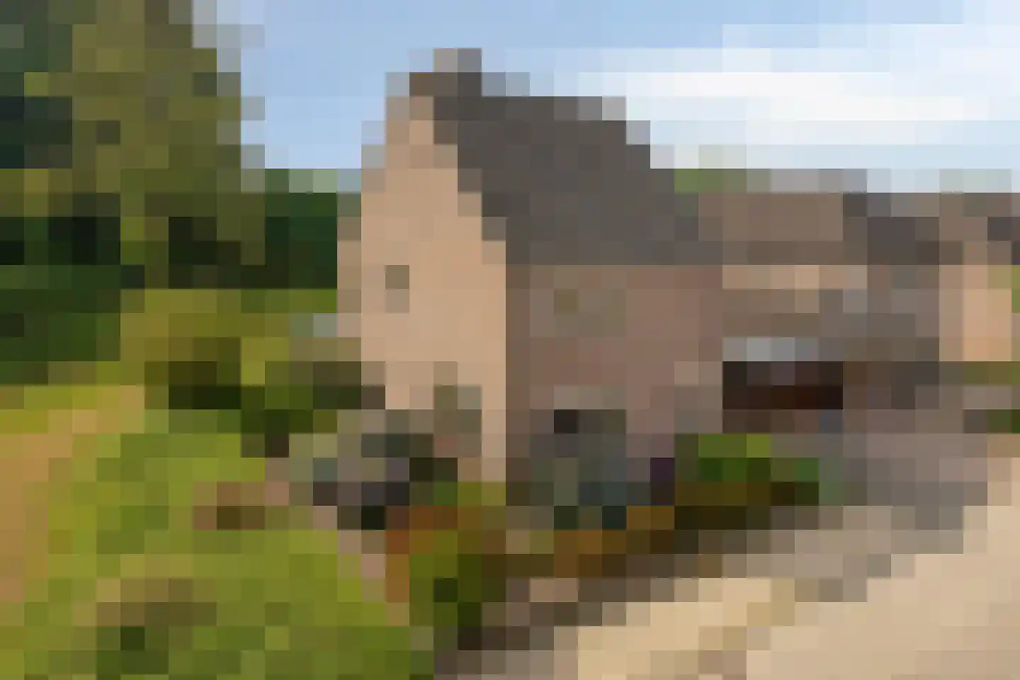 De Misse 1 in Berlicum