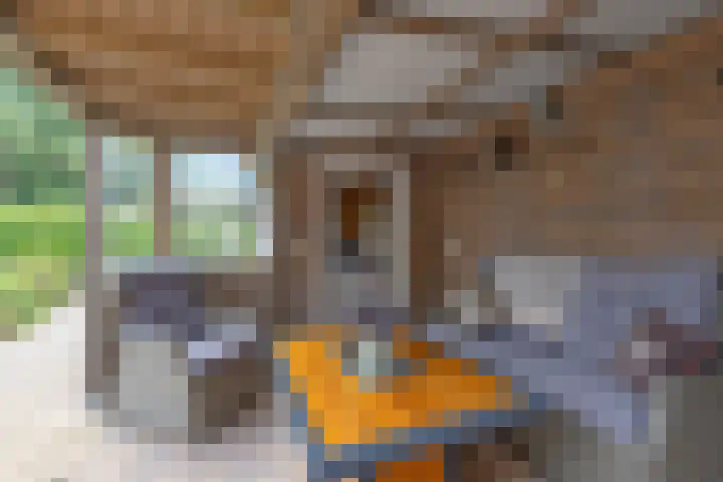 De Misse 1 Berlicum thumbnail 14