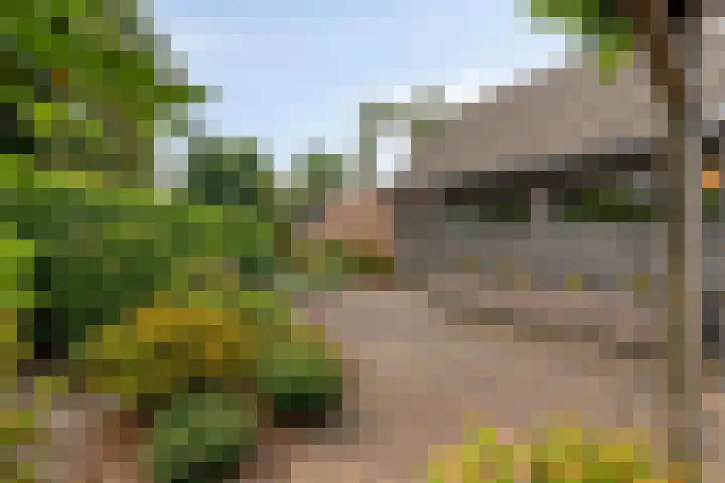 De Misse 1 Berlicum thumbnail 15