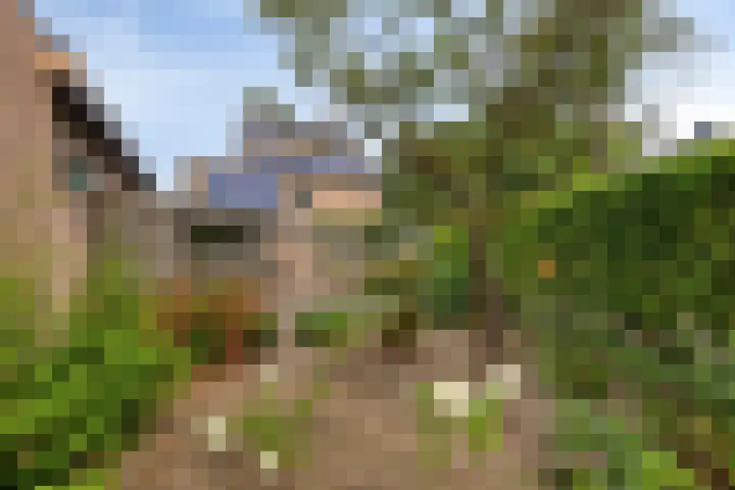 De Misse 1 Berlicum thumbnail 16