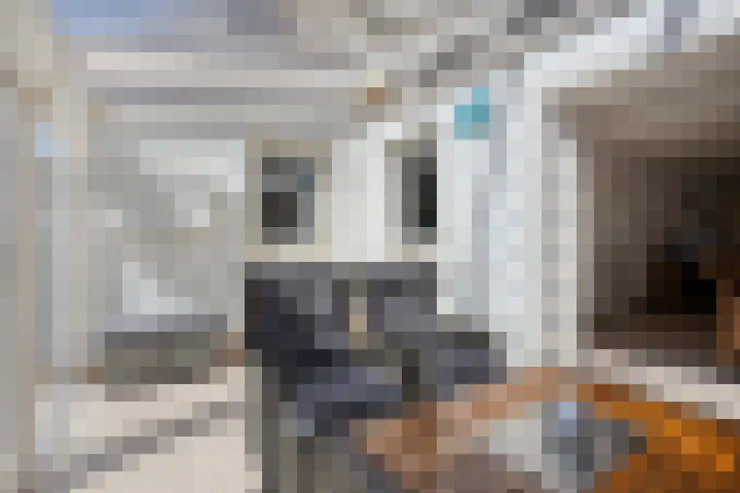 De Misse 1 Berlicum thumbnail 18